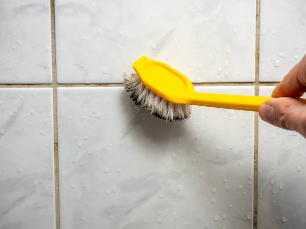 Best Health and Safety Mold Remediation in Panacea, FL