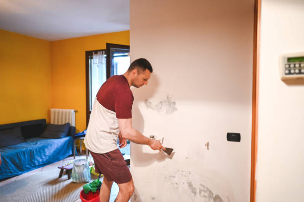Best Industrial Mold Remediation in Panacea, FL